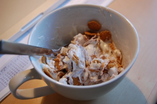 sky yogurt with 1/4 kashi and 1/4 fiber 1 honey nut clusters